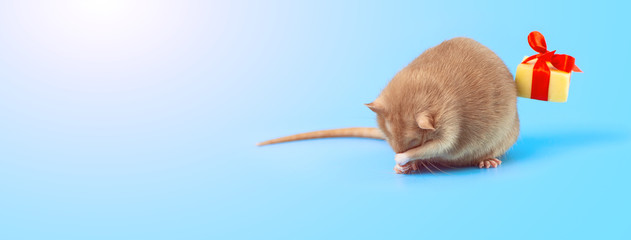 cute decorative rat with cheese gift and red bow on a blue background