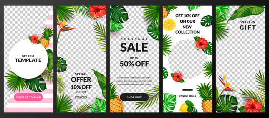 Stories, news or post vector template for social network. Story tropical background. Trendy summer design