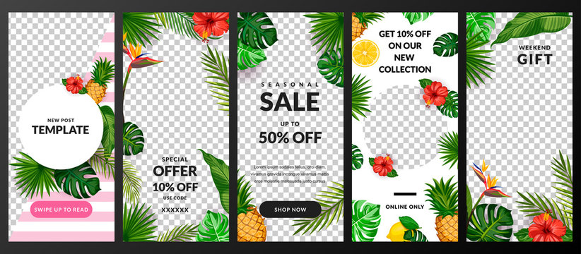 Stories, news or post vector template for social network. Story tropical background. Trendy summer design