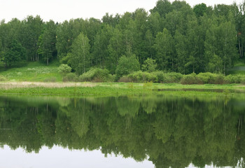 Fototapeta na wymiar green forest reflected into water