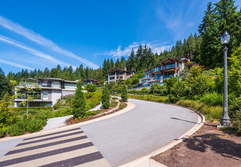 Houses in suburb at Summer in the north America. Luxury houses with nice landscape.