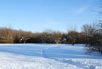 Landscape with snowfield.