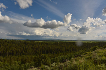 Obraz na płótnie Canvas white clouds over green glassy field in Idaho