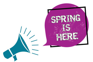 Conceptual hand writing showing Spring Is Here. Business photo showcasing After winter season has arrived Enjoy nature flowers sun Megaphone speaking loud screaming frame purple speech bubble