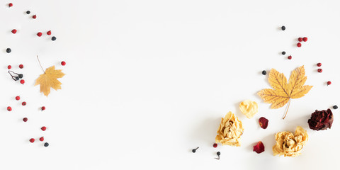 Autumn creative composition. Frame made of dried autumn leaves, berries, flowers on white background. Fall background. Flat lay, top view, copy space