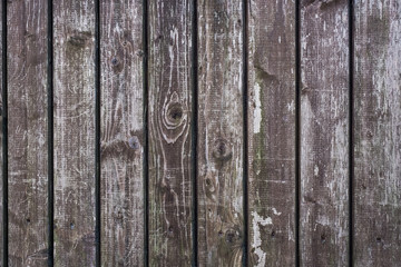 old wood background. wall of wooden planks