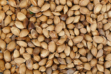 large quantity of apricot kernel, pharmaceutical industry and apricot kernels,