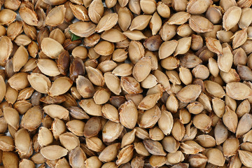 large quantity of apricot kernel, pharmaceutical industry and apricot kernels,