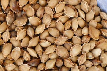 large quantity of apricot kernel, pharmaceutical industry and apricot kernels,