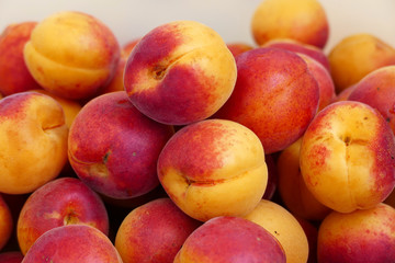 Fototapeta na wymiar organic red colored apricots, ripe apricots, natural apricot fruit,