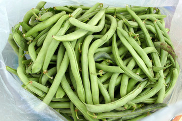 freshly picked fresh beans, american atlantis beans,