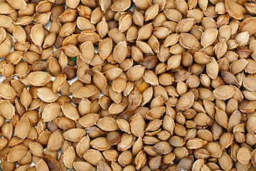 apricot kernels, medicine apricot kernels, apricot kernels for making pills and drugs,