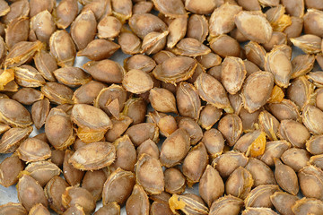 apricot kernels, medicine apricot kernels, apricot kernels for making pills and drugs,
