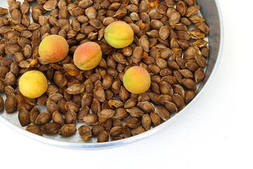apricot kernels, medicine apricot kernels, apricot kernels for making pills and drugs,