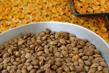 apricot kernels, medicine apricot kernels, apricot kernels for making pills and drugs,