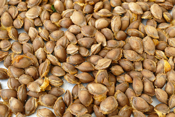 apricot kernels, medicine apricot kernels, apricot kernels for making pills and drugs,
