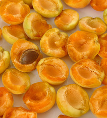 large amounts of apricot kernels, apricot kernels in making pills and medicines,