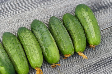 pickles to make cucumbers, gherkins and pickles, fresh gherkins, natural gherkins,