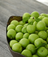 close-up of green sour plums, fresh green plums,