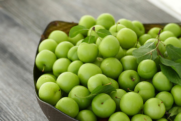 close-up of green sour plums, fresh green plums,