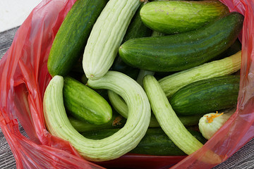 natural cucumber, organic cucumber and white gherkin, village garden cucumber,