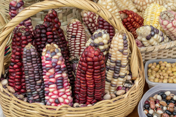 Indian corn in basket at a market