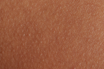 Dark brown human skin texture background