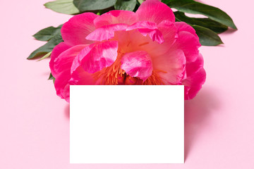 Minimalistic card mockup with peony flower. Isolated card. Close-up.
