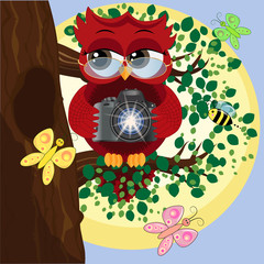A red sweet owl in glasses and with a camera sits on a tree. Photo business, photographer, vocation, profession