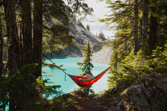 Hammock Relaxation - Powered by Adobe