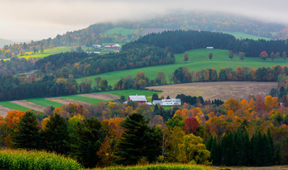 Rolling farm hills are broken by swaths of trees in full Autumn Color in Vermont