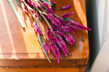 Obraz premium Bright purple flowers, a bouquet lying on a suitcase in a spot of light.