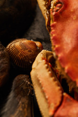 close up view of raw crab, cockles and mussels on stones