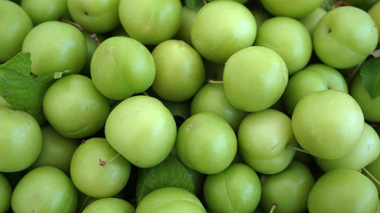 green plums on white ground, fresh plums, 