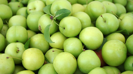 sour plums in a container, green and sour plums,