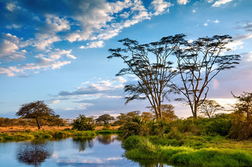Beautiful African landscape, in Tanzania. - obrazy, fototapety, plakaty