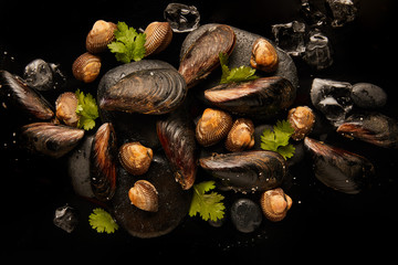 Fototapeta na wymiar top view of frozen uncooked cockles and mussels with greenery on stones near scattered ice cubes isolated on black