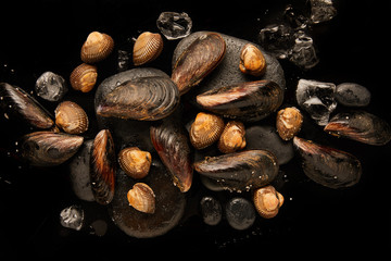 top view of uncooked cockles and mussels on stones near scattered ice cubes isolated on black