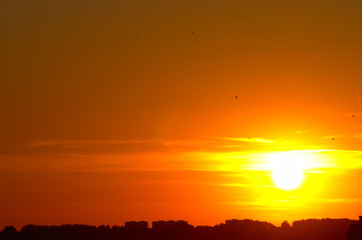 Sunny sunset over the city, sun burst. Vitebsk, Belarus, June 2019