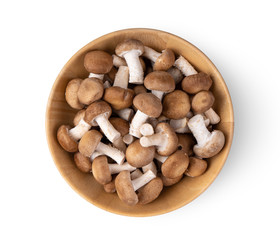 Shiitake mushrooms in wood bowl isolated on the white background. top view