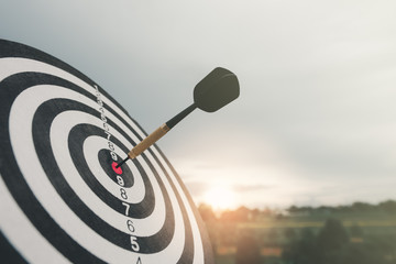 Bullseye is a target of business. Dart is an opportunity and Dartboard is the target and goal. So...