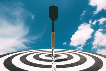 Bullseye is a target of business. Dart is an opportunity and Dartboard is the target and goal. So...