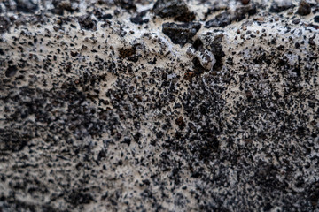 Background blurred texture of concrete patterns displayed