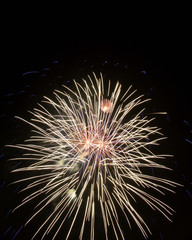 fireworks in the night sky