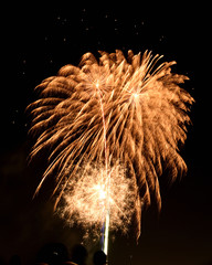 orange yellow fireworks palm tree