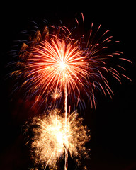 red orange yellow fireworks palm tree