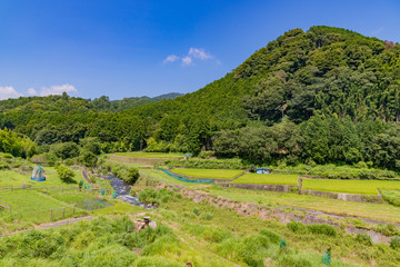 静岡県伊豆市地蔵堂の風景　棚田　田舎イメージ　