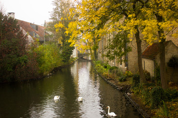 Fototapeta premium Bruges