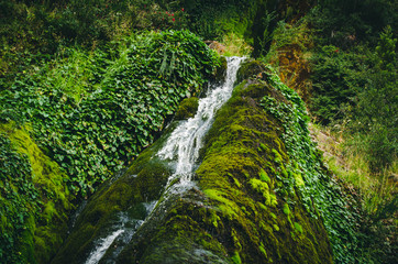Cascada