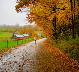 A person walks down the road with an umbrella for the mild rain under Autumn Colors in Vermont